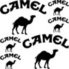 Pegatinas Camel, varios tamaños, color a elegir
